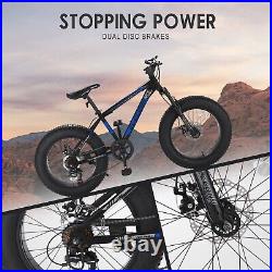 20 Fat Tire Mountain Trail Bike 7 Speed Shock Absorbing Shimano Gearing Bicycle