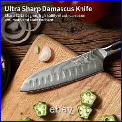 3 Pcs Kitchen Knives Set Japanese VG10 Damascus Steel Chef Knife Santoku Slicing