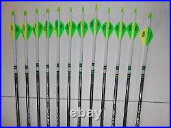 Easton Axis 300 5mm Hunting Carbon Arrows! Crested/Dipped Bohning Blazer Vanes