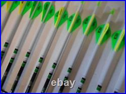 Easton Axis 300 5mm Hunting Carbon Arrows! Crested/Dipped Bohning Blazer Vanes