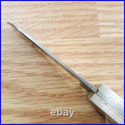 OTTER-Messer Small Hunting Folding Knife 2.25 Carbon Steel Blade Bone Handle
